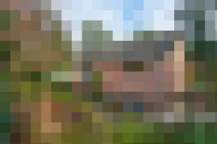 Wolfhezerweg 120 22 Wolfheze thumbnail 68
