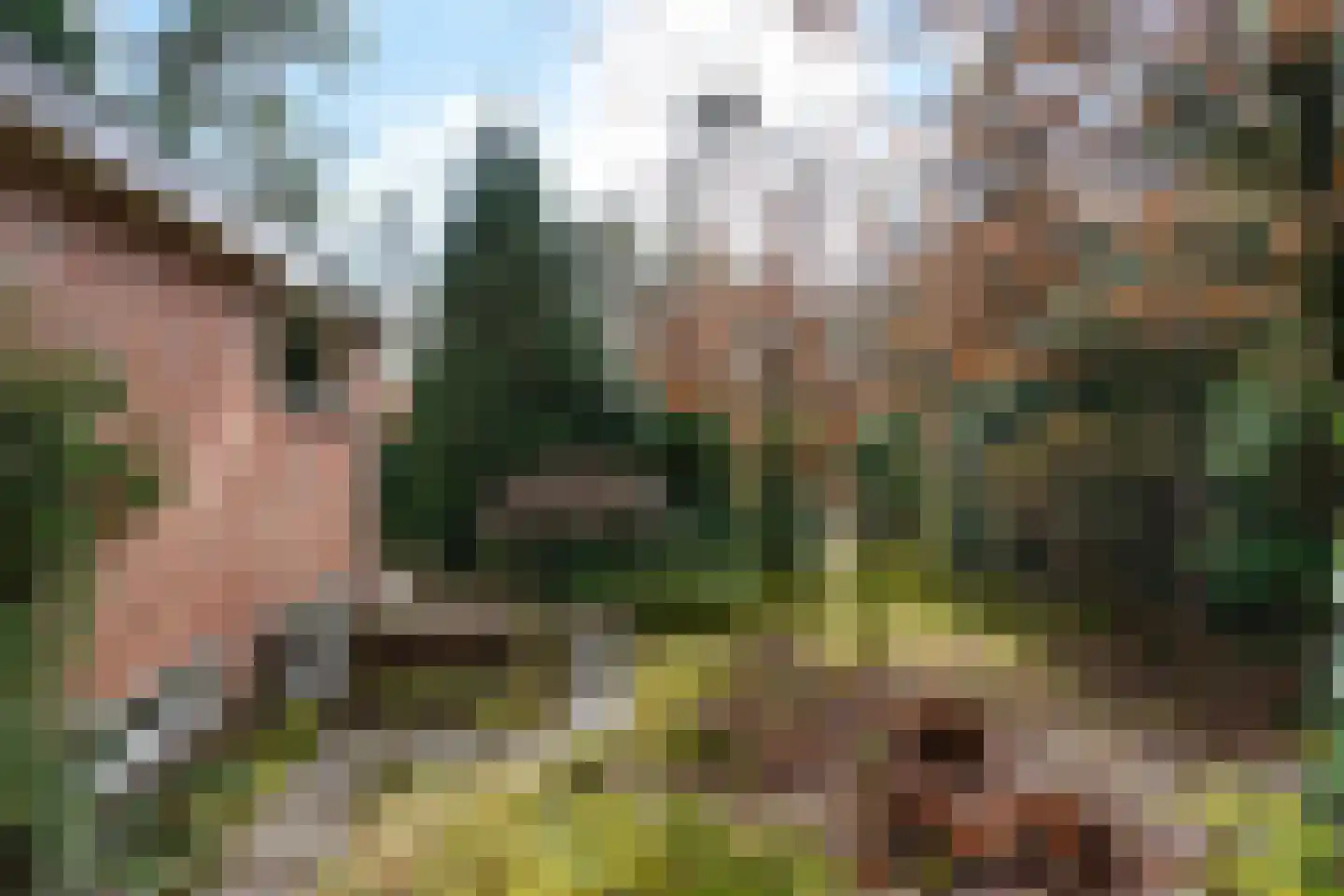 Wolfhezerweg 120 22 Wolfheze thumbnail 68