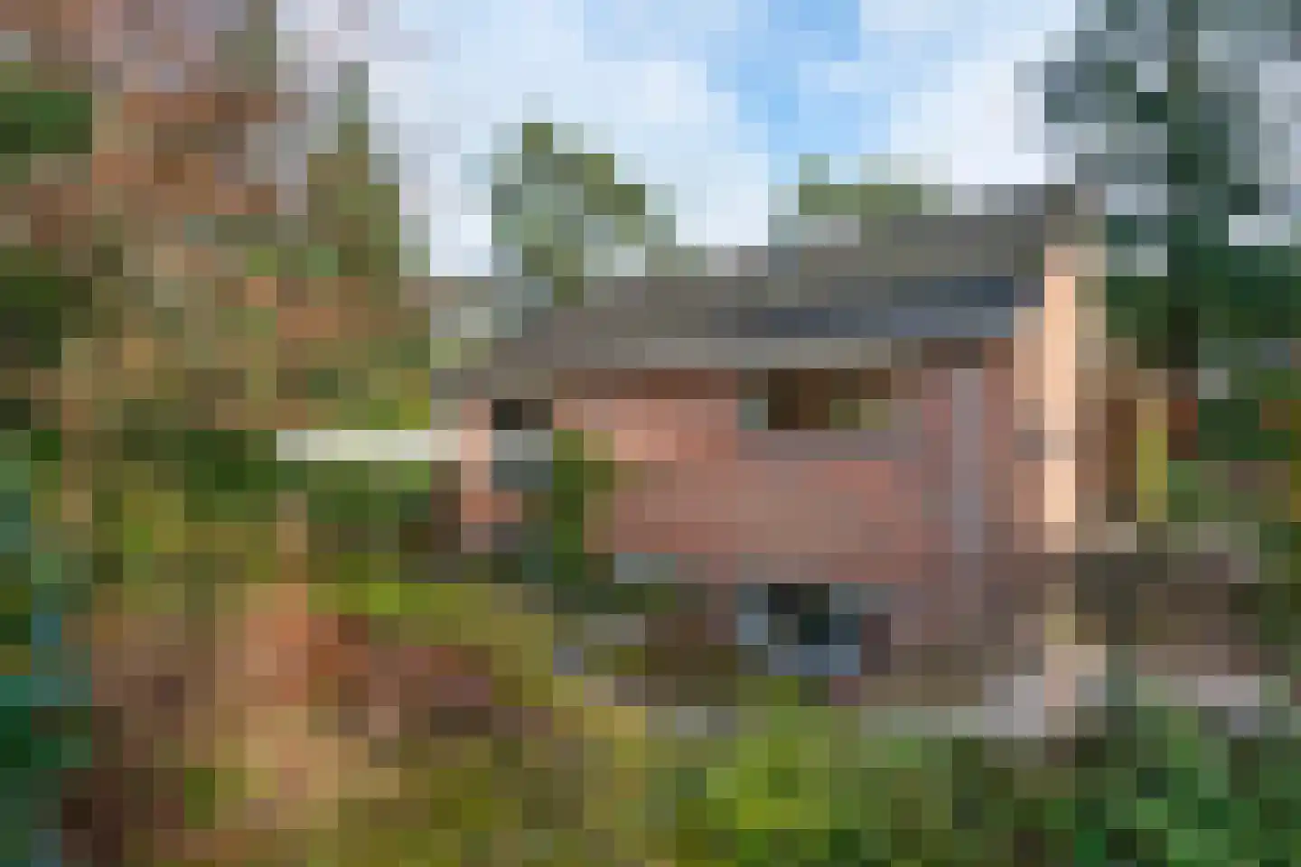Wolfhezerweg 120 22 Wolfheze thumbnail 69