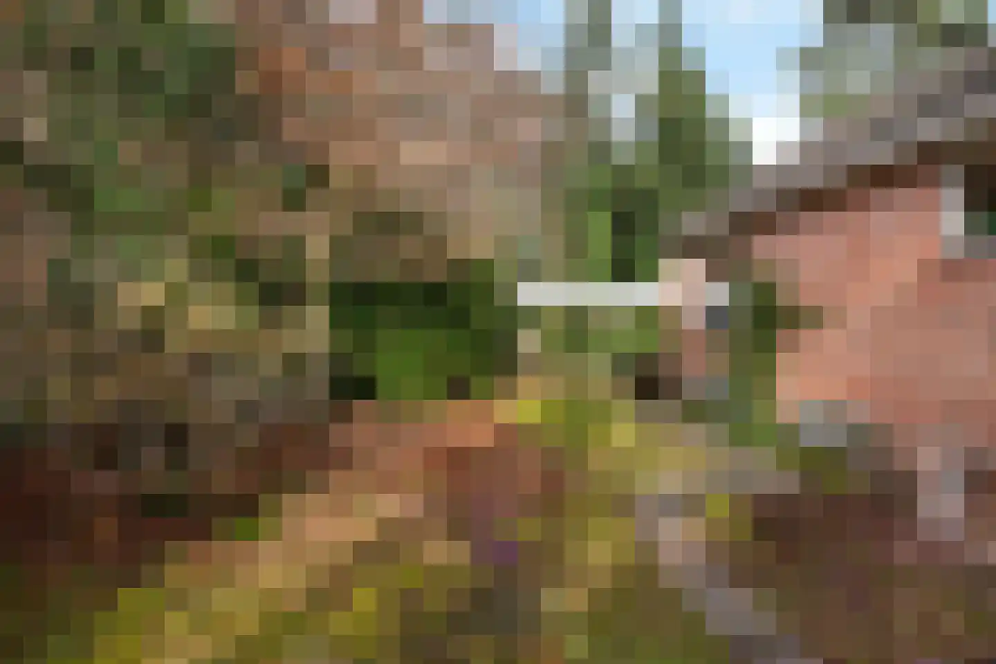 Wolfhezerweg 120 22 Wolfheze thumbnail 70
