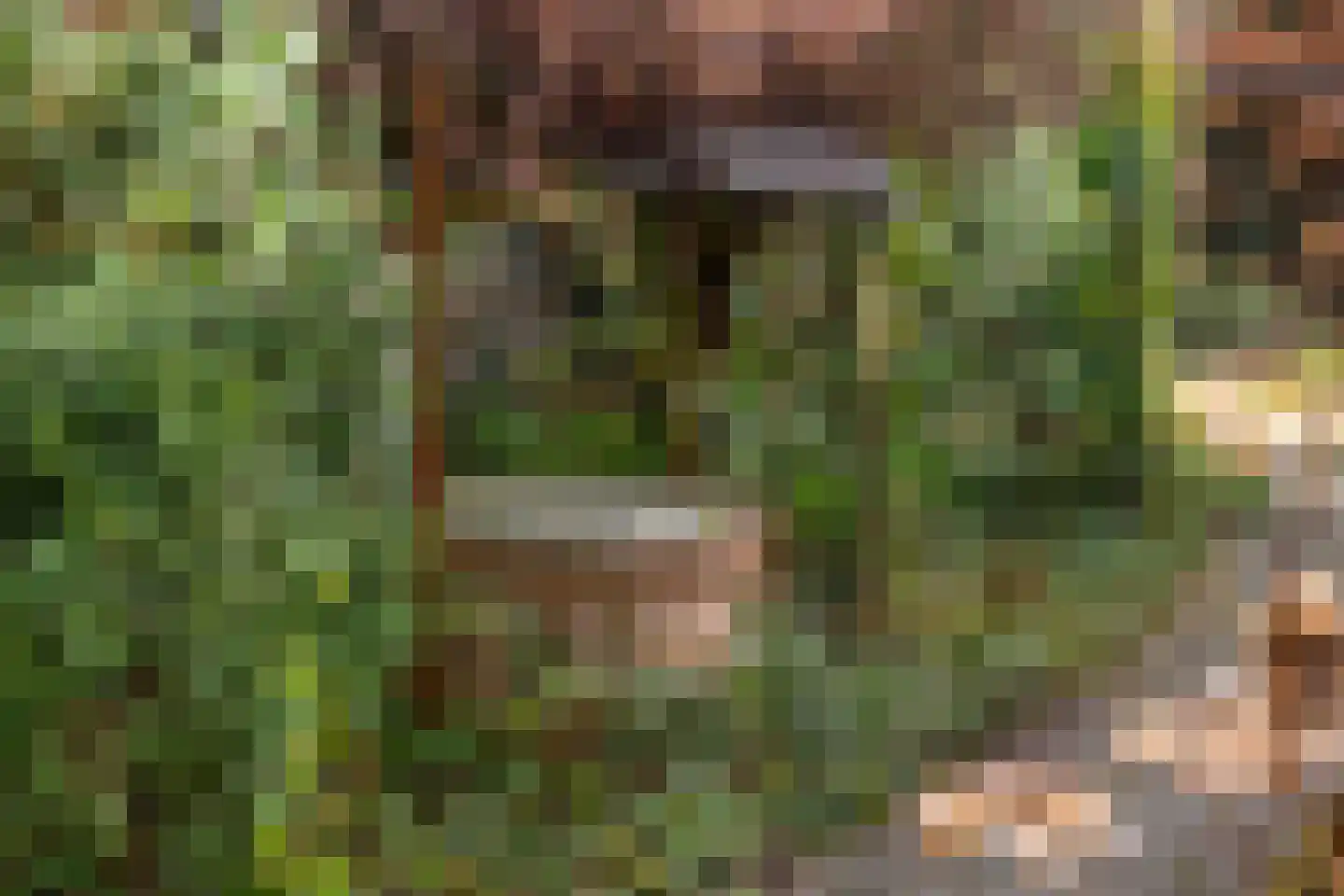 Wolfhezerweg 120 22 Wolfheze thumbnail 72
