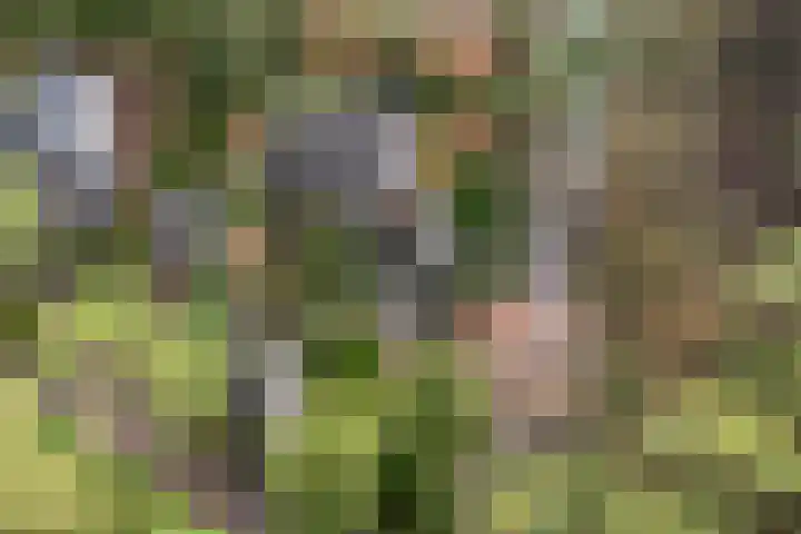 Wolfhezerweg 120 22 Wolfheze thumbnail 72