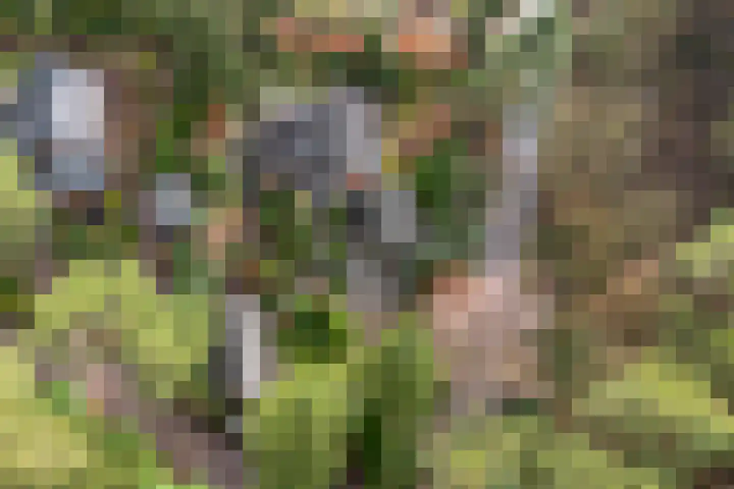 Wolfhezerweg 120 22 Wolfheze thumbnail 73