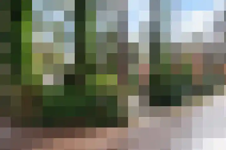 Wolfhezerweg 120 22 Wolfheze thumbnail 73