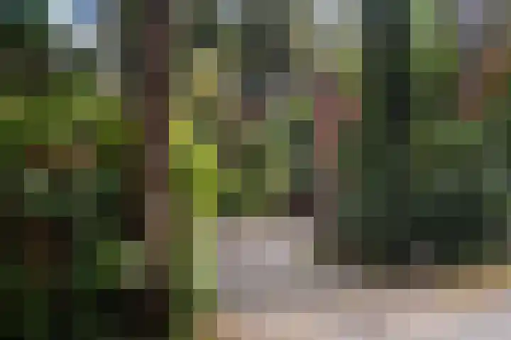 Wolfhezerweg 120 22 Wolfheze thumbnail 75