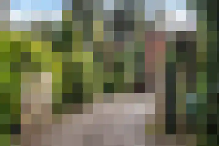 Wolfhezerweg 120 22 Wolfheze thumbnail 76