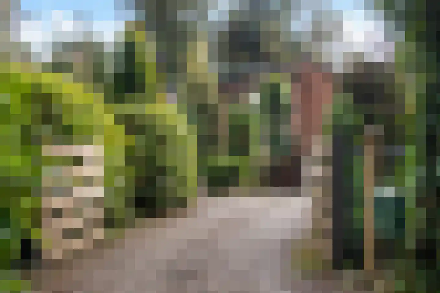 Wolfhezerweg 120 22 Wolfheze thumbnail 76