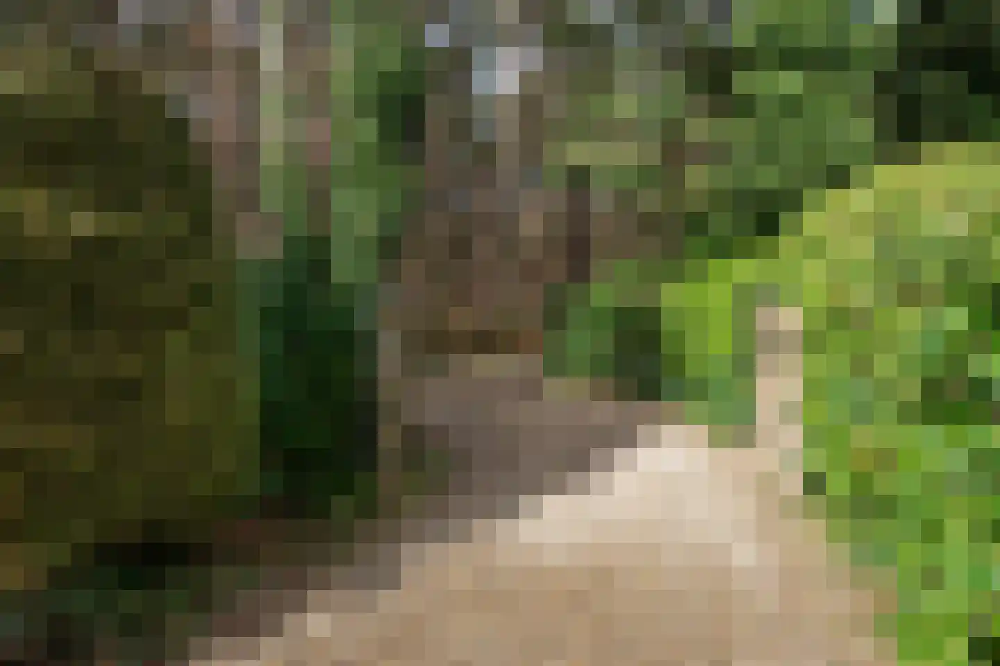 Wolfhezerweg 120 22 Wolfheze thumbnail 78
