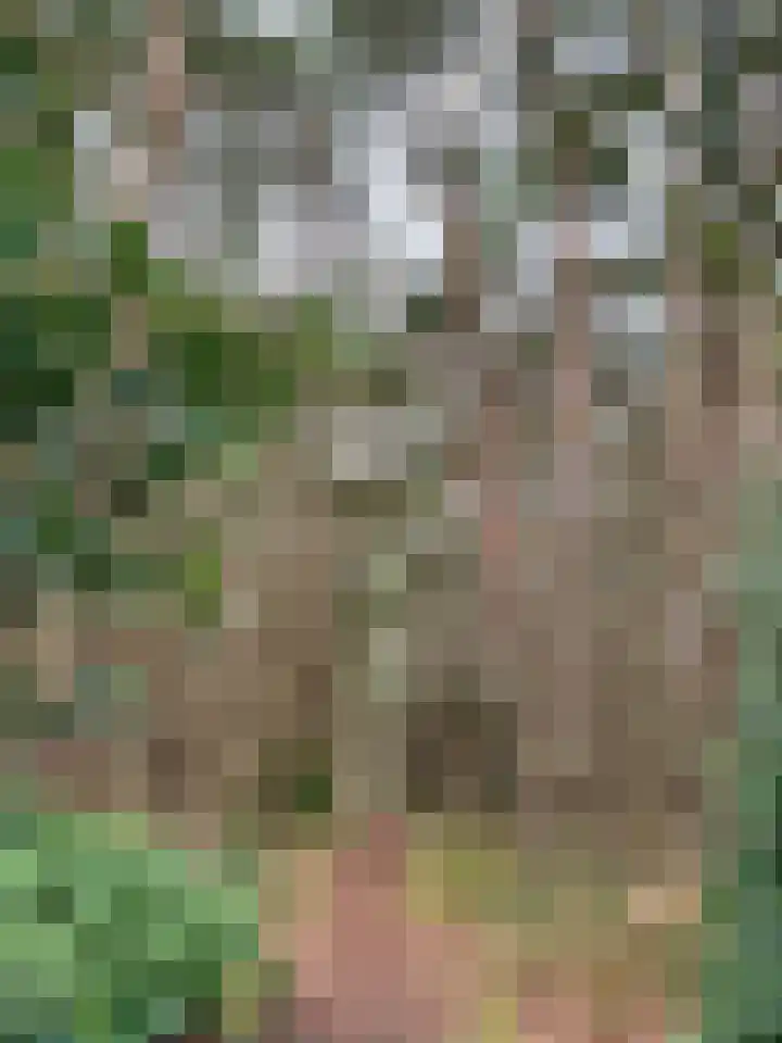 Wolfhezerweg 120 22 Wolfheze thumbnail 79
