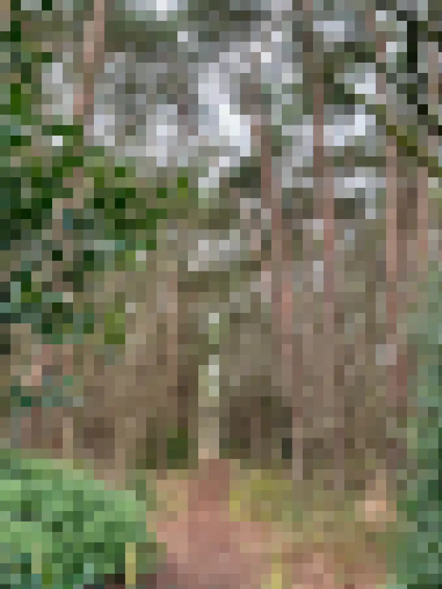 Wolfhezerweg 120 22 Wolfheze thumbnail 79