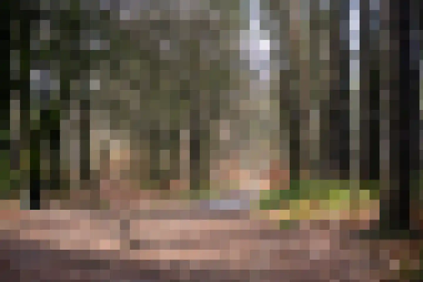 Wolfhezerweg 120 22 Wolfheze thumbnail 80