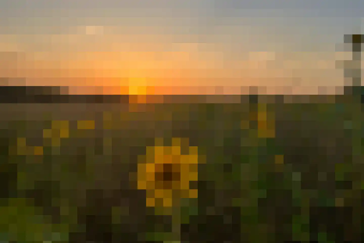 Wolfhezerweg 120 22 Wolfheze thumbnail 81