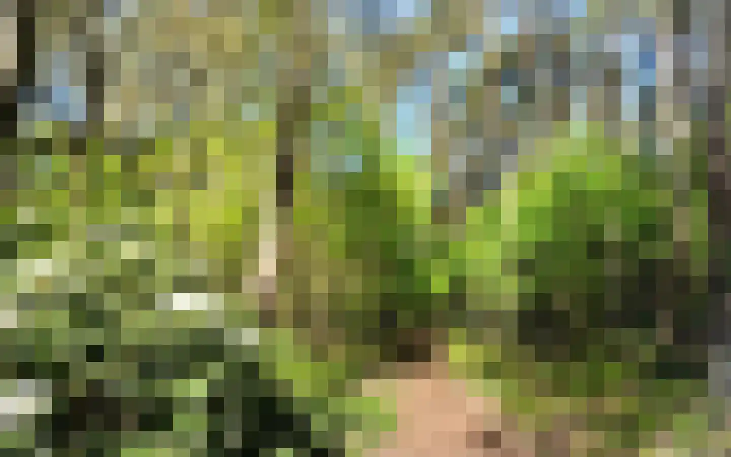 Wolfhezerweg 120 22 Wolfheze thumbnail 87