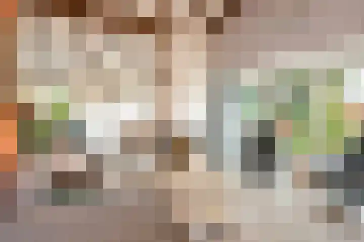 Wolfhezerweg 120 22 Wolfheze thumbnail 9