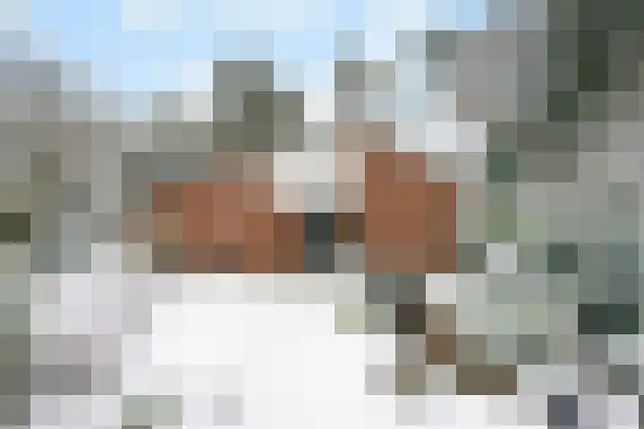 Wolfhezerweg 120 32 Wolfheze thumbnail 24