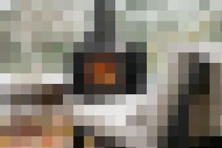 Wolfhezerweg 120 32 Wolfheze thumbnail 28