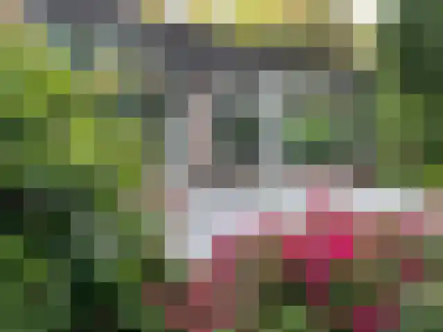 Wolfhezerweg 120 32 Wolfheze thumbnail 32