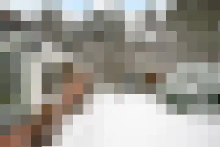 Wolfhezerweg 120 32 Wolfheze thumbnail 63