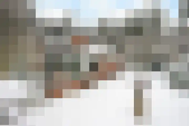 Wolfhezerweg 120 32 Wolfheze thumbnail 64
