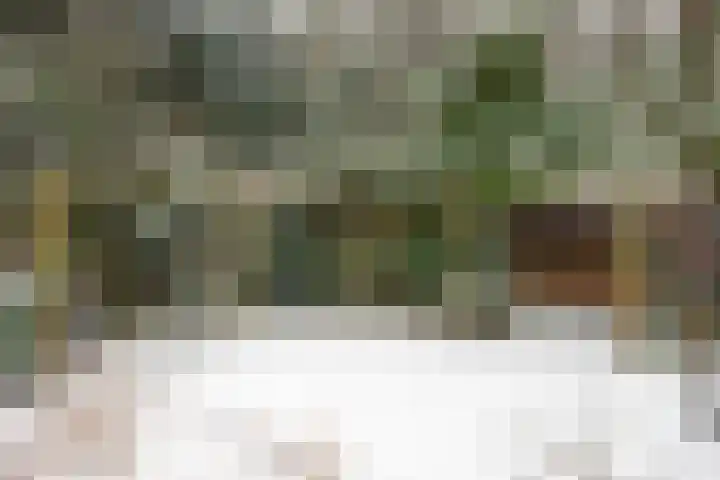 Wolfhezerweg 120 32 Wolfheze thumbnail 69