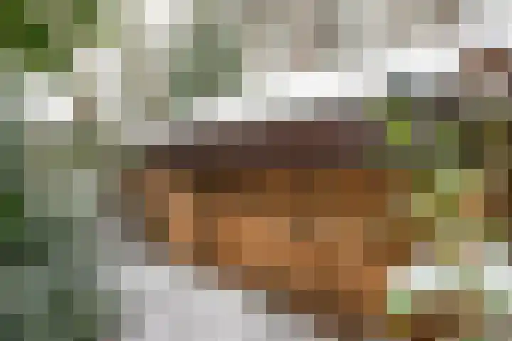 Wolfhezerweg 120 32 Wolfheze thumbnail 70