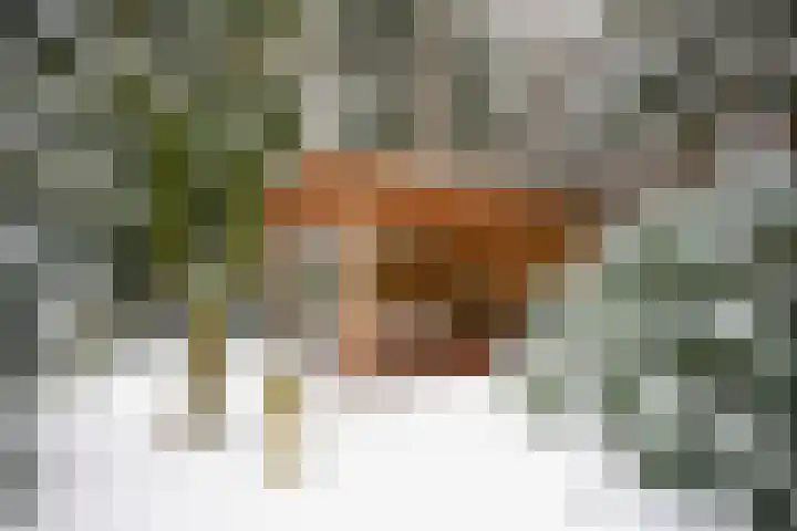 Wolfhezerweg 120 32 Wolfheze thumbnail 78