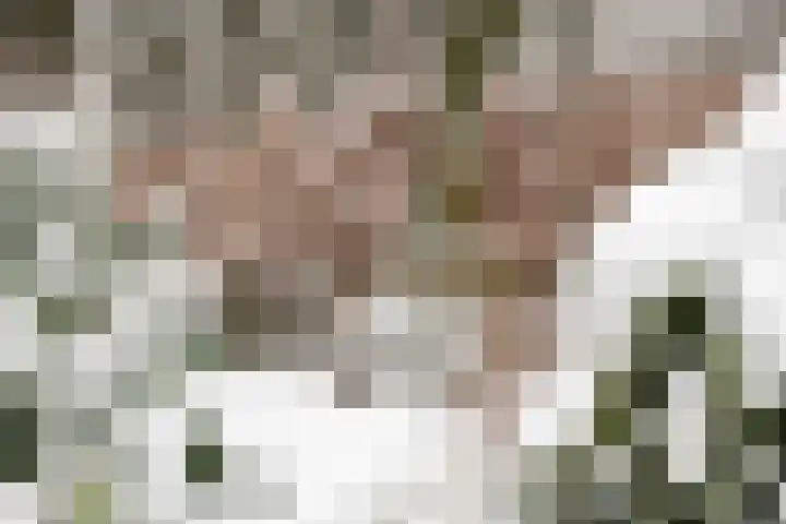 Wolfhezerweg 120 32 Wolfheze thumbnail 82