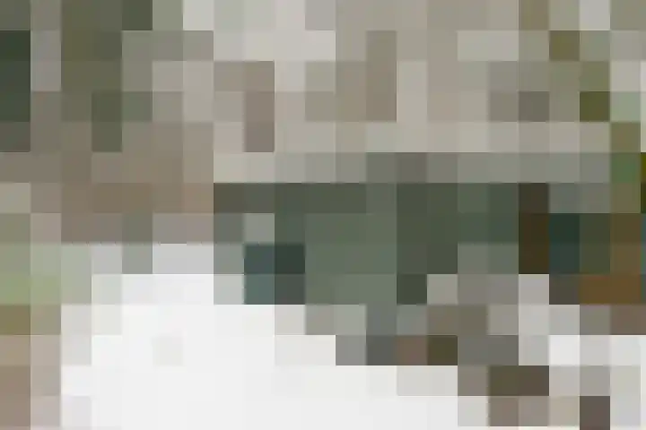 Wolfhezerweg 120 32 Wolfheze thumbnail 84