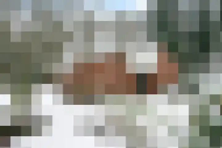 Wolfhezerweg 120 32 Wolfheze thumbnail 87