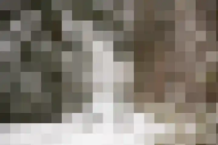 Wolfhezerweg 120 32 Wolfheze thumbnail 91