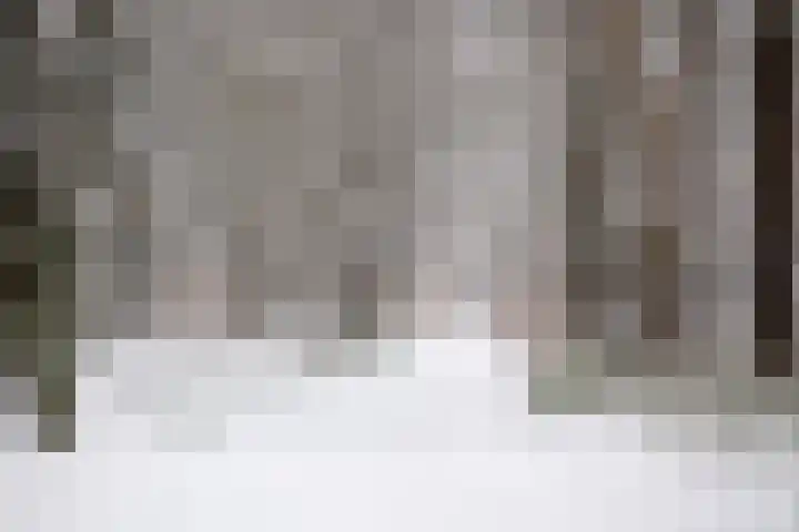Wolfhezerweg 120 32 Wolfheze thumbnail 93