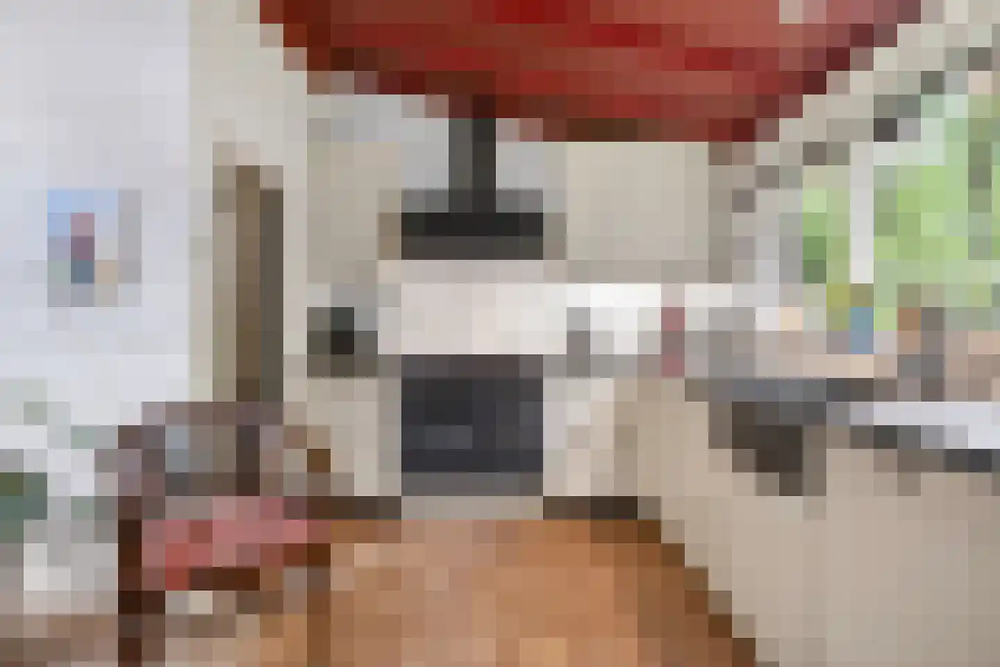 Wolfhezerweg 120 44 Wolfheze thumbnail 15
