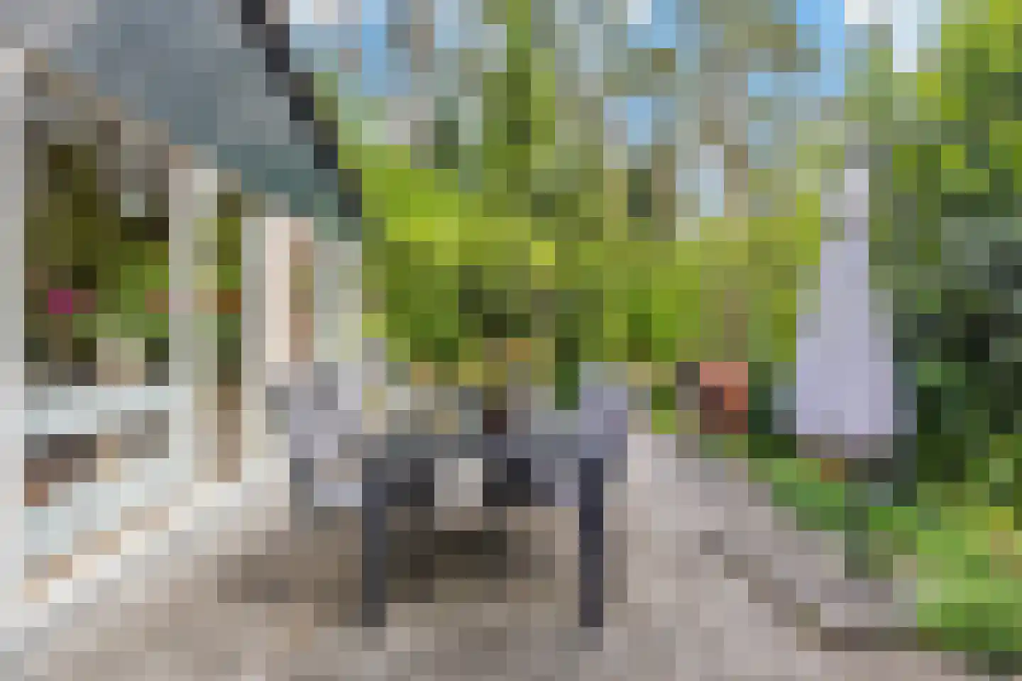 Wolfhezerweg 120 44 Wolfheze thumbnail 41