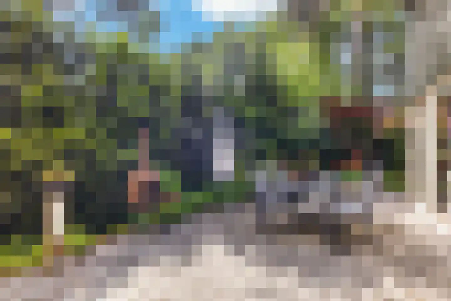 Wolfhezerweg 120 44 Wolfheze thumbnail 42