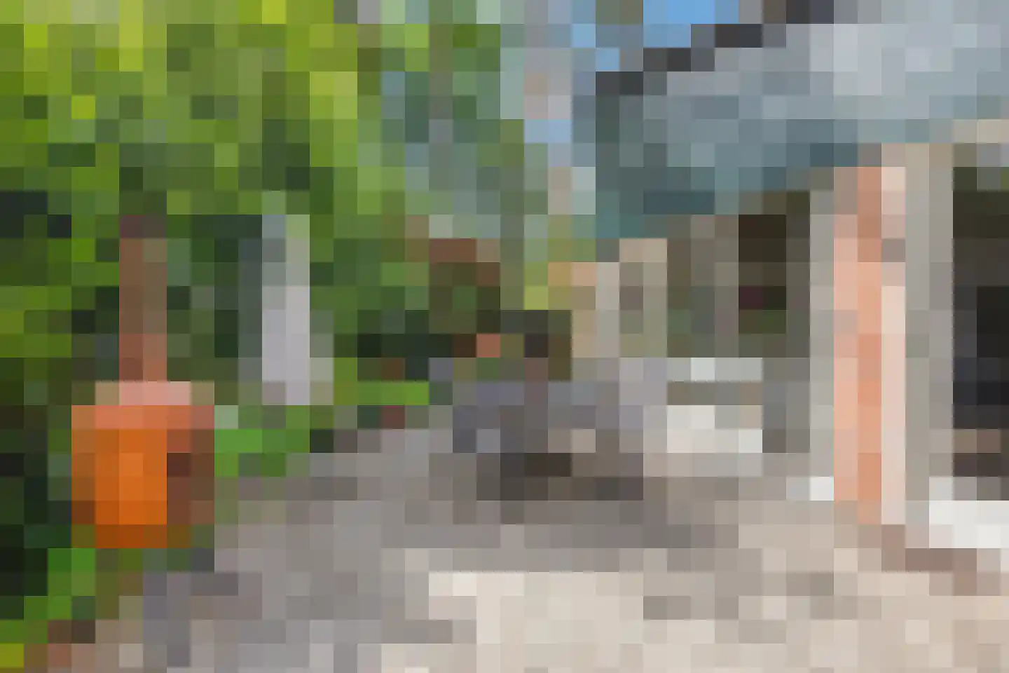 Wolfhezerweg 120 44 Wolfheze thumbnail 43