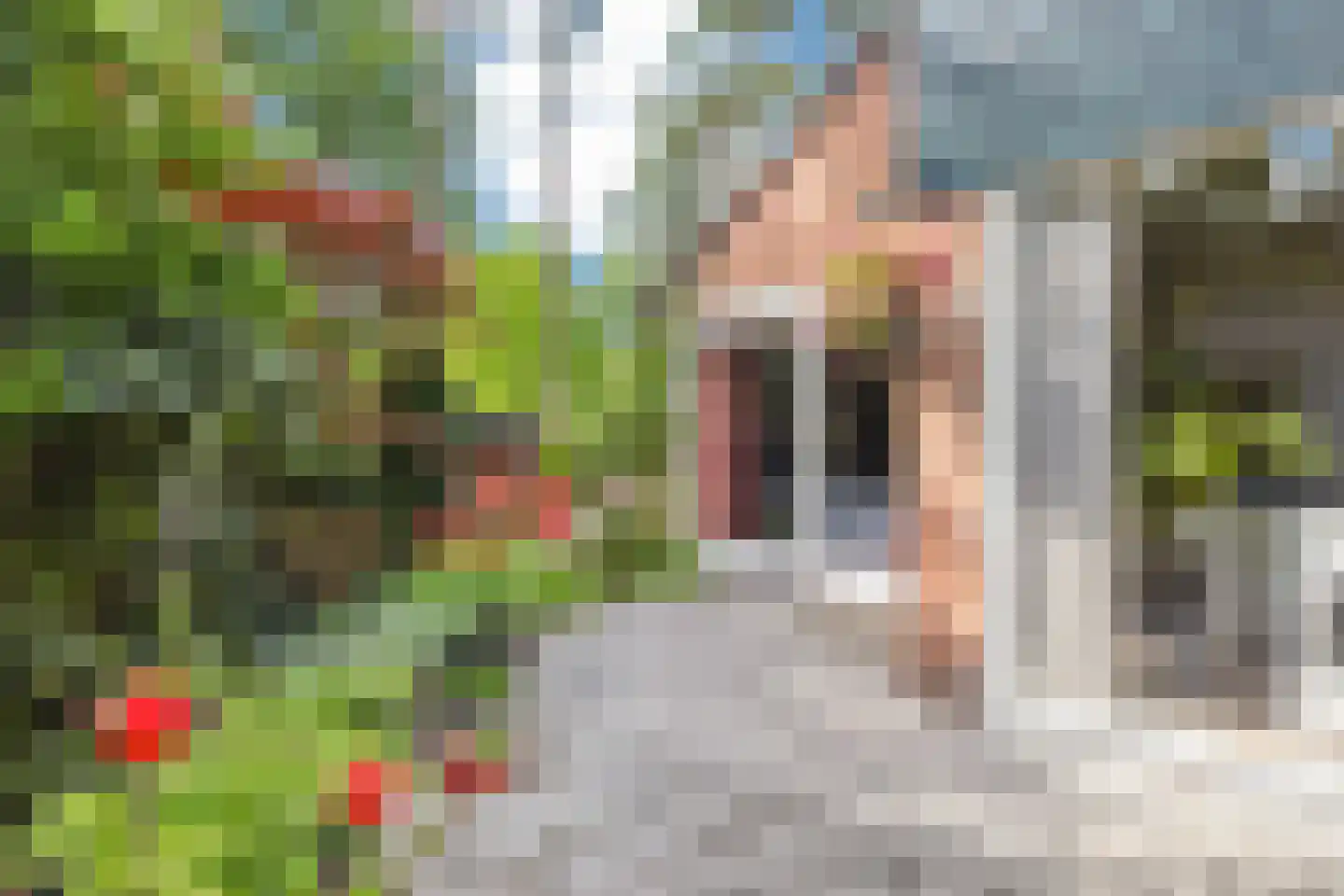 Wolfhezerweg 120 44 Wolfheze thumbnail 44