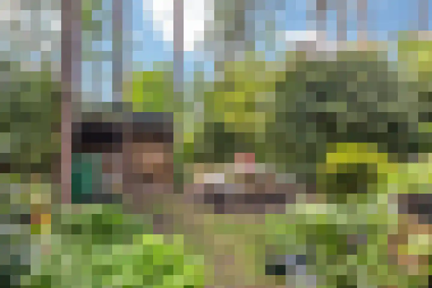 Wolfhezerweg 120 44 Wolfheze thumbnail 45