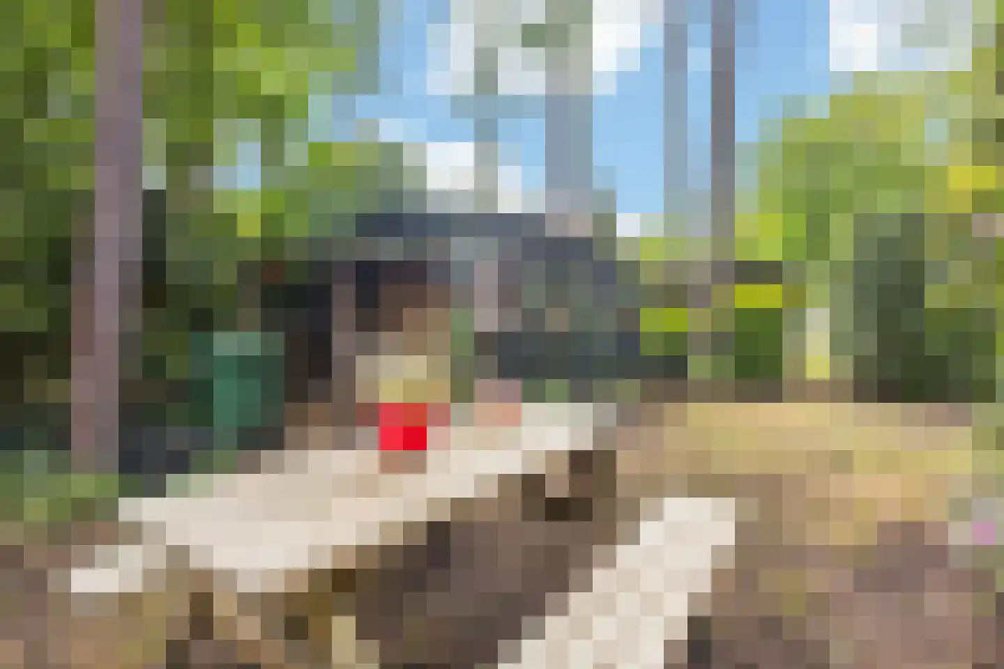 Wolfhezerweg 120 44 Wolfheze thumbnail 46