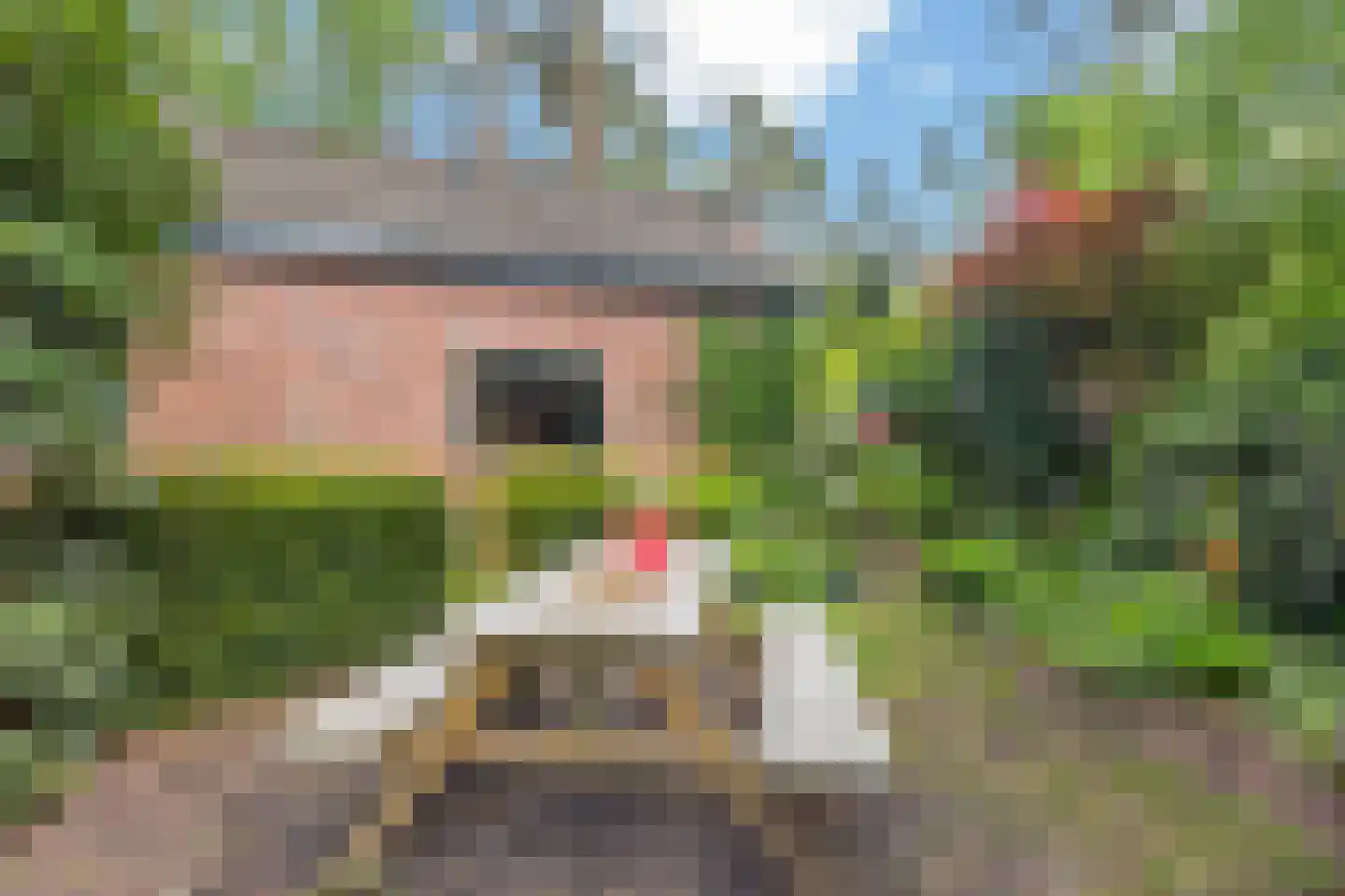 Wolfhezerweg 120 44 Wolfheze thumbnail 48