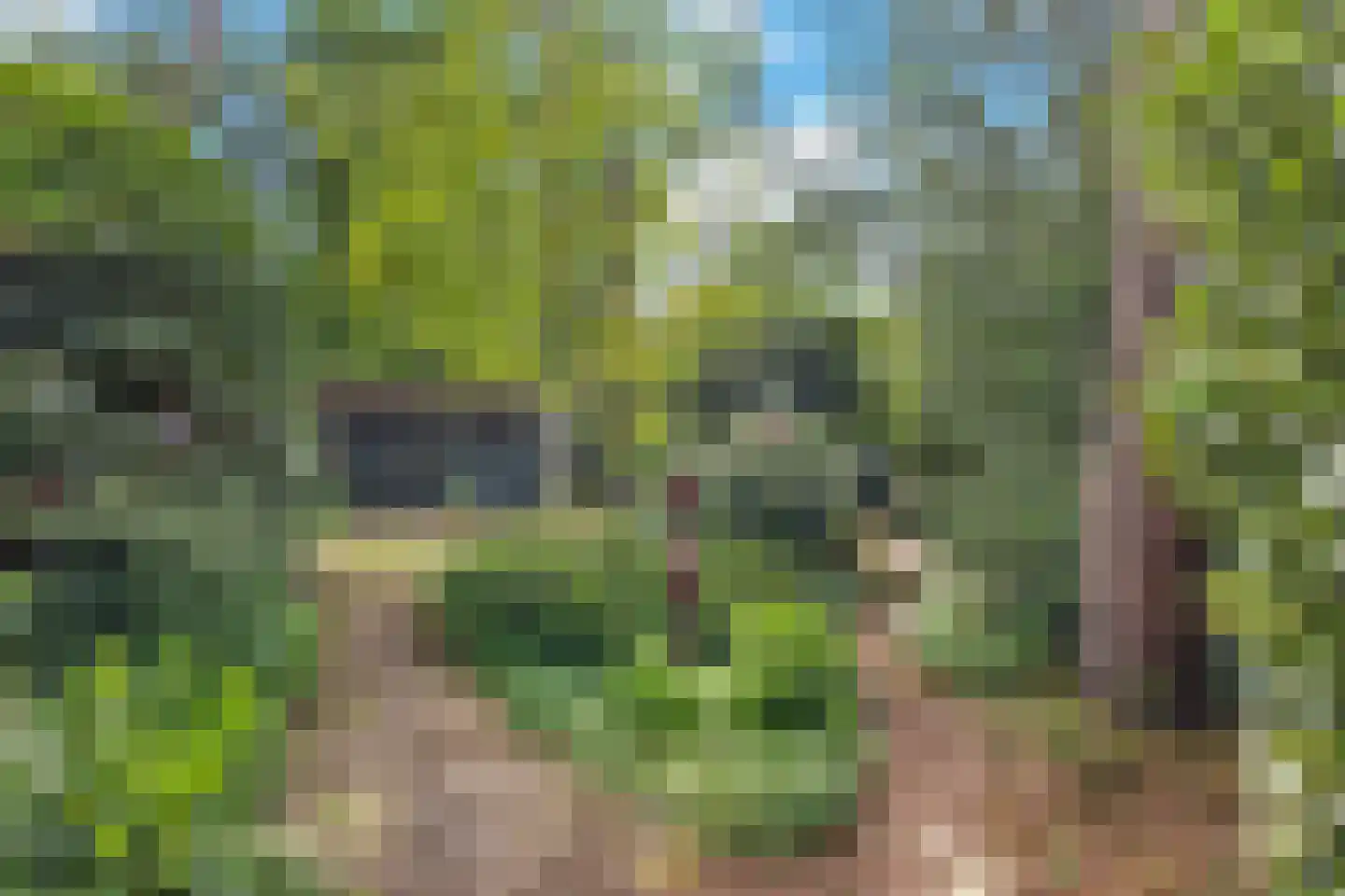 Wolfhezerweg 120 44 Wolfheze thumbnail 49