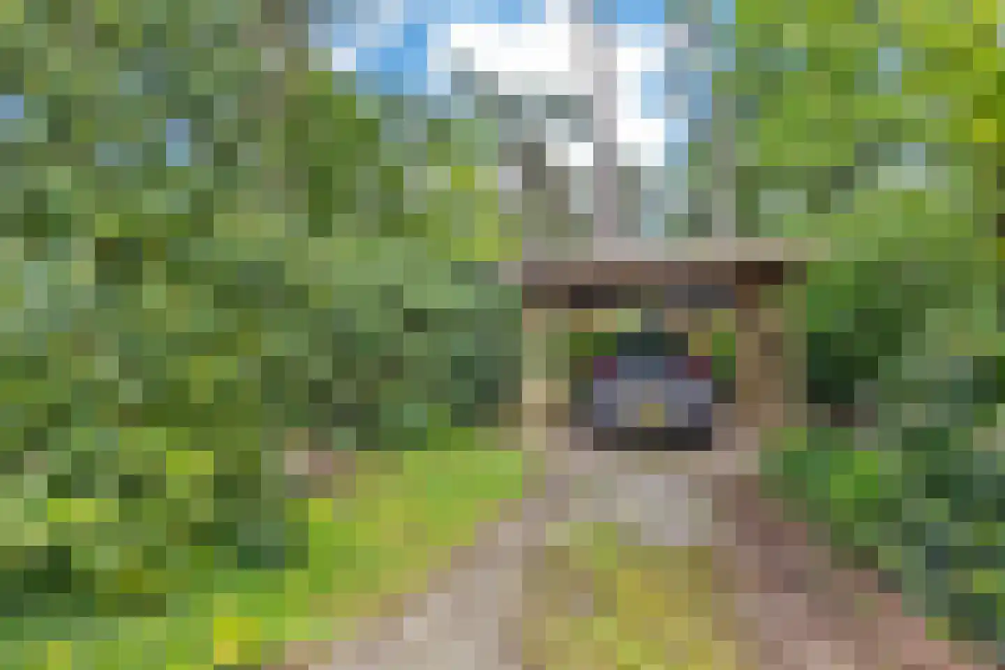 Wolfhezerweg 120 44 Wolfheze thumbnail 50