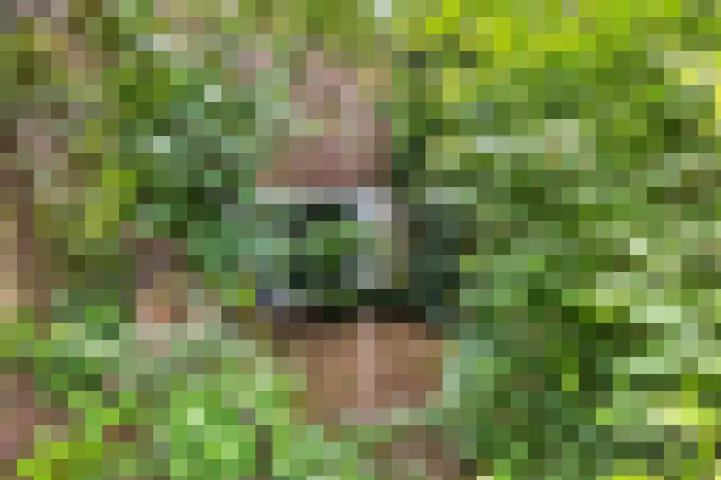 Wolfhezerweg 120 44 Wolfheze thumbnail 53