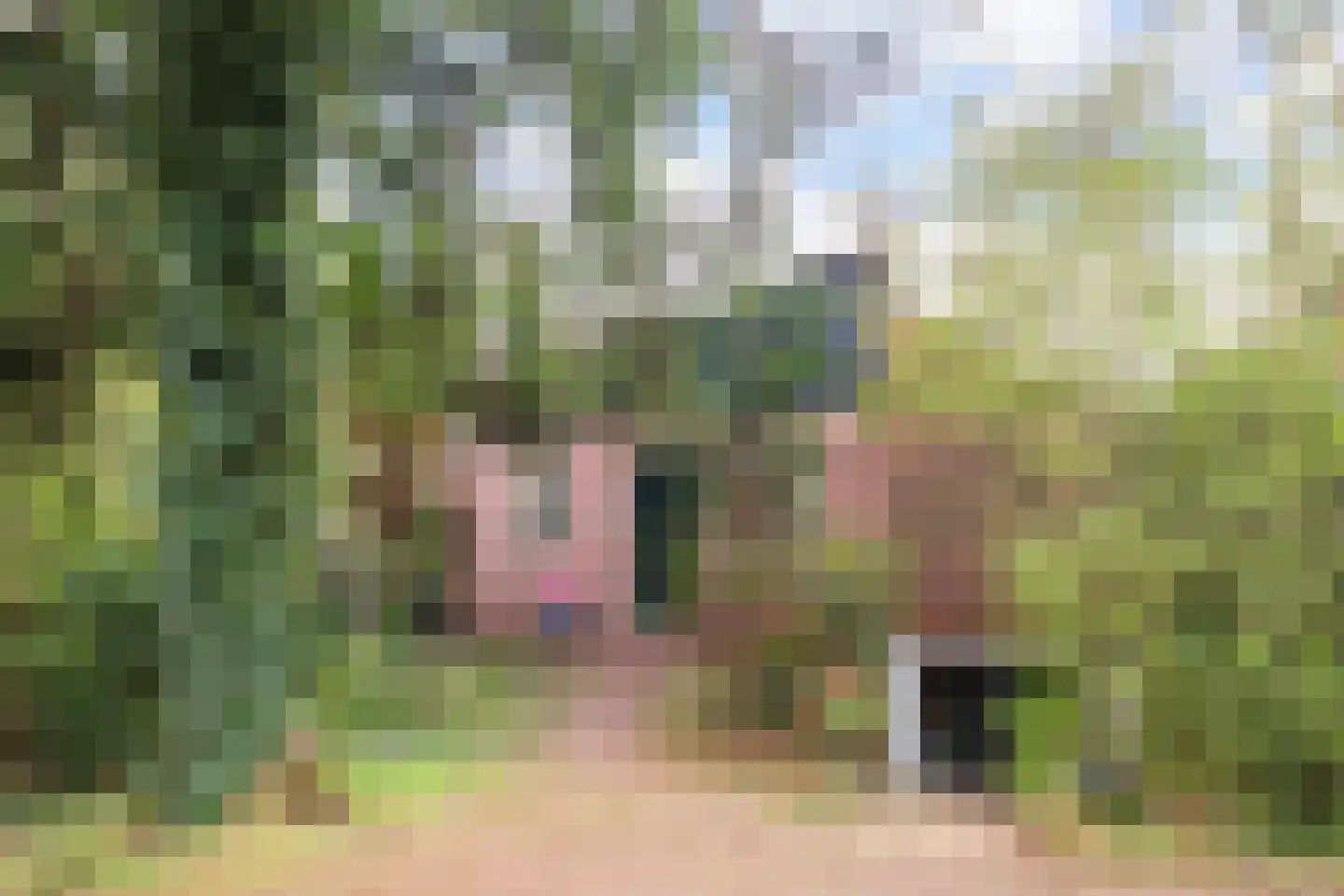 Wolfhezerweg 120 44 Wolfheze thumbnail 55