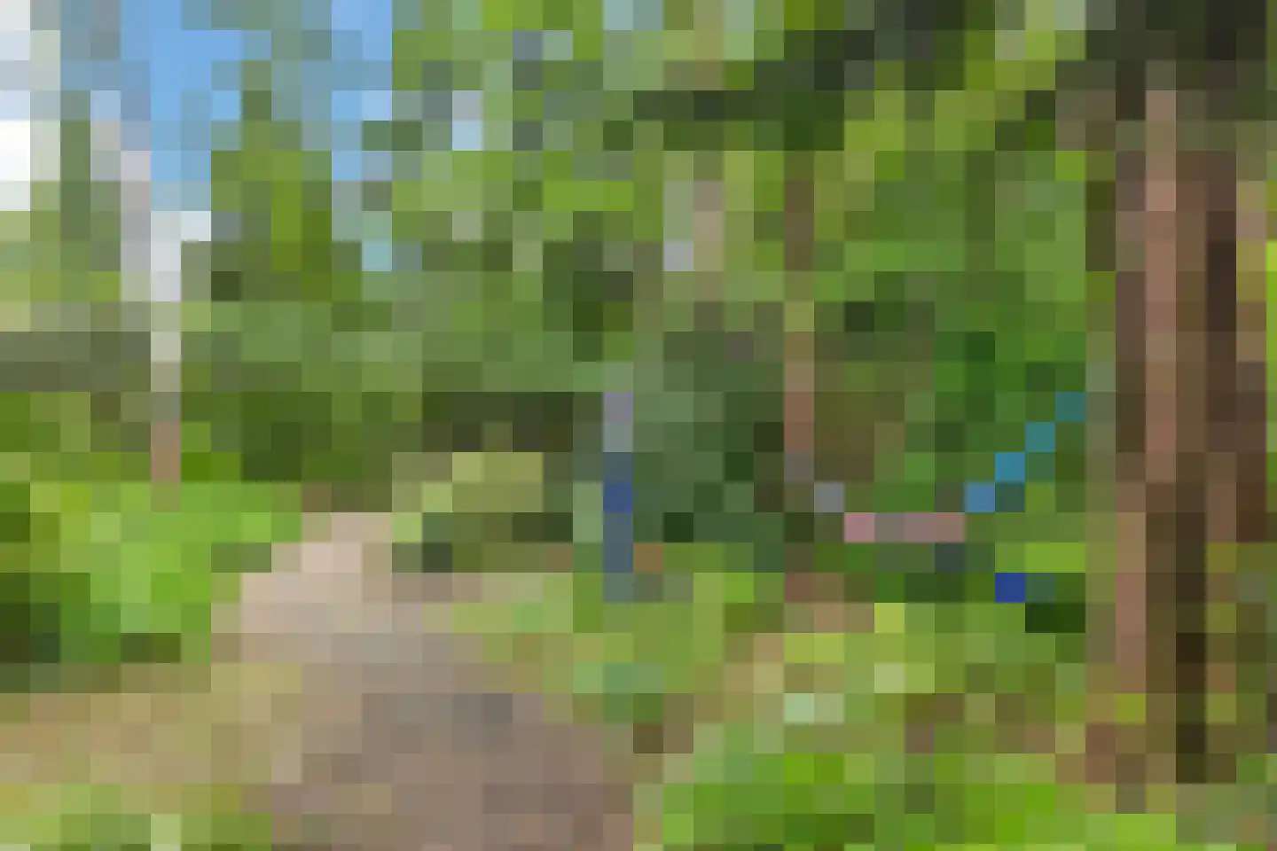 Wolfhezerweg 120 44 Wolfheze thumbnail 57