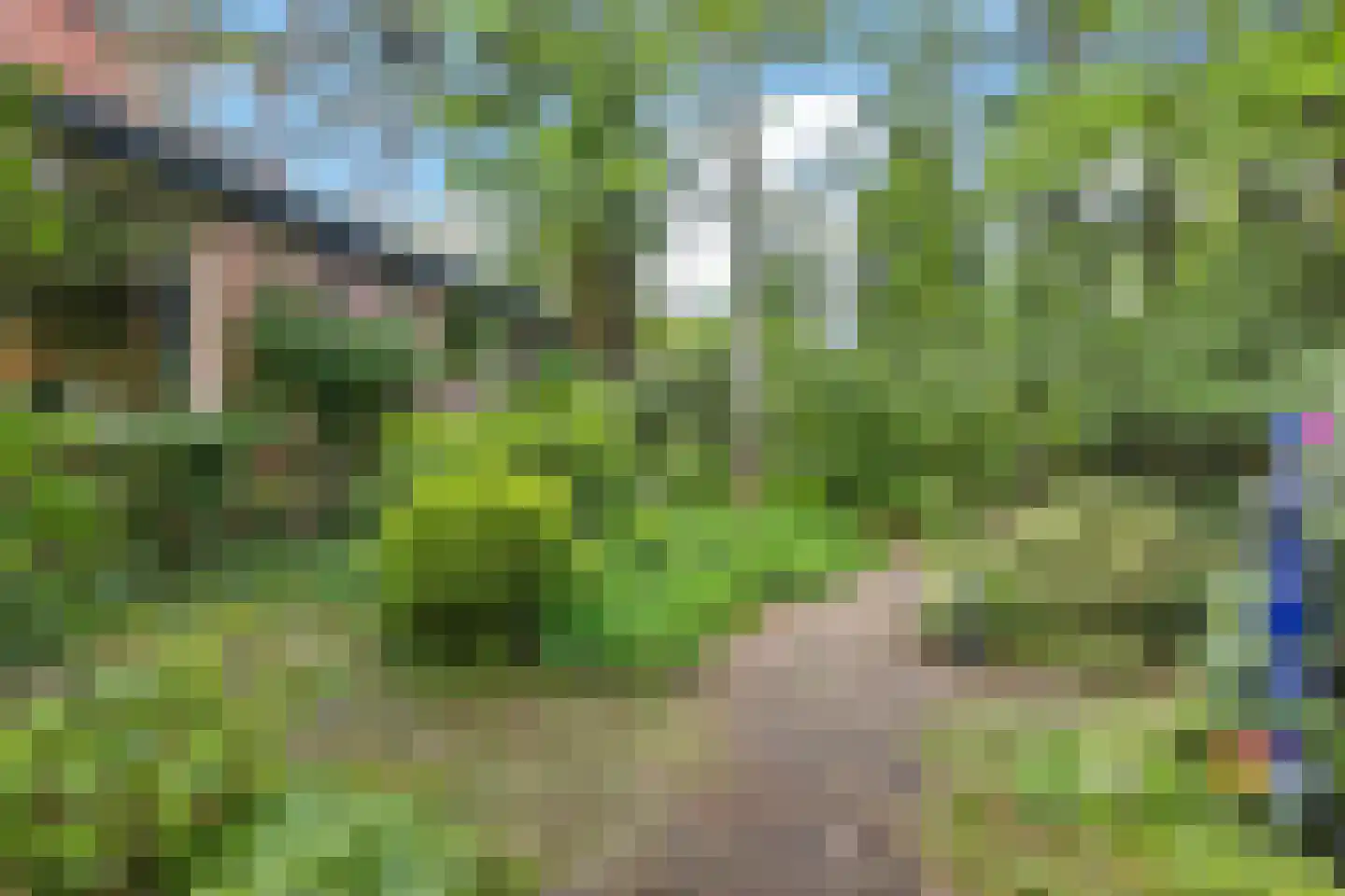 Wolfhezerweg 120 44 Wolfheze thumbnail 58