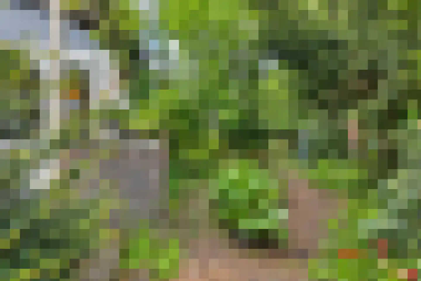 Wolfhezerweg 120 44 Wolfheze thumbnail 59