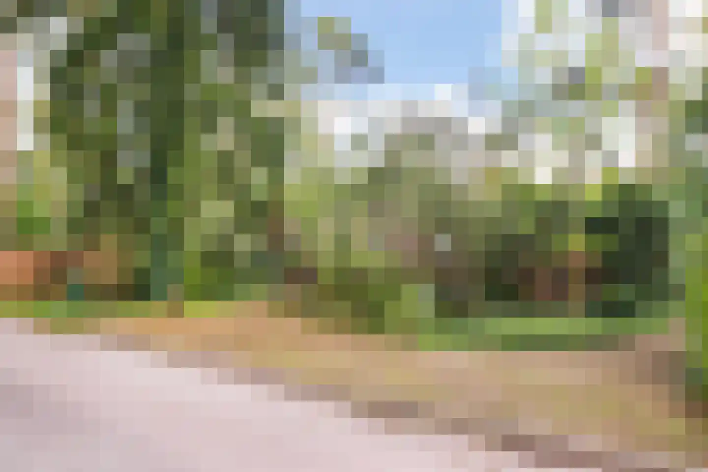 Wolfhezerweg 120 44 Wolfheze thumbnail 61
