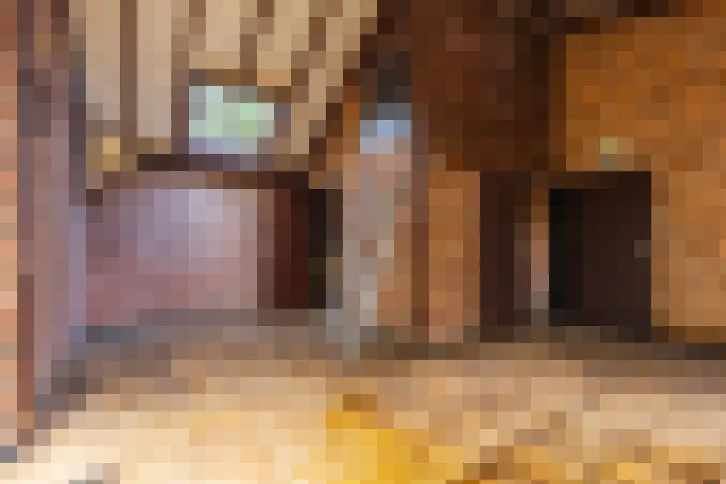 Wolfhezerweg 120 49 Wolfheze thumbnail 10