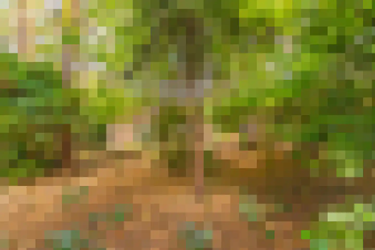 Wolfhezerweg 120 49 Wolfheze thumbnail 11