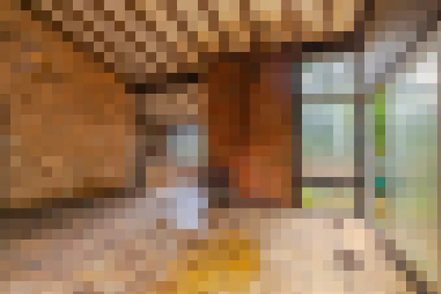 Wolfhezerweg 120 49 Wolfheze thumbnail 11